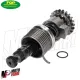 MF3776 Albero Messa in moto TOP per Motore Minarelli AM6 50 2T TZR RS RX HM RR