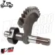 MF0050 Settore Avviamento Vespa 50 Special R L N 125 ET3 Primavera