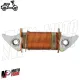 MF1019 Bobina Luce Luci Statore Volano Magnete Piaggio Vespa 50 Special R L N
