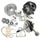 Kit Modifica Cilindro DR 102 Albero Cono 19 Corsa 43 Cuscinetti Vespa 50 Special