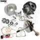 Kit Modifica Cilindro DR 102 Albero Cono 19 Corsa 43 Cuscinetti Vespa 50 Special