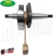 MF1551 Albero Motore TOP Cono 19 Corsa Corta 43 Vespa Special RLN PK Ape 50