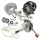MF3819 Kit Cilindro DR 102 Albero Cono 20 Corsa 43 Cuscinetti Paraoli Ape 50
