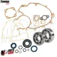 MF3819 Kit Cilindro DR 102 Albero Cono 20 Corsa 43 Cuscinetti Paraoli Ape 50