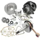 MF3819 Kit Cilindro DR 102 Albero Cono 20 Corsa 43 Cuscinetti Vespa 50 PK S XL