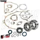 MF3819 Kit Cilindro DR 102 Albero Cono 20 Corsa 43 Cuscinetti Vespa 50 PK S XL