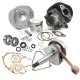 MF3819 Kit Cilindro DR 102 Albero Cono 20 Corsa 43 Cuscinetti Vespa 50 Special