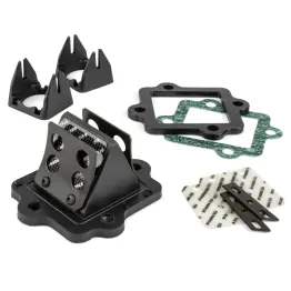 MF2125 PACCO LAMELLARE VALVOLA CARBONIO STAGE6 R/T 50 2T MINARELLI ORIZZONTALE