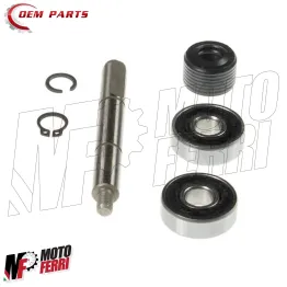 MF3905 Kit Revisione Pompa Acqua Piaggio Zip SP NRG MC3 Power NTT Runner SR 50 2