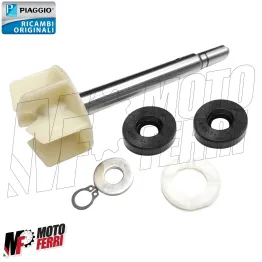 Kit Revisione Pompa Acqua Girante Originale Aprilia 125 150 200 Scarabeo Rotax 2