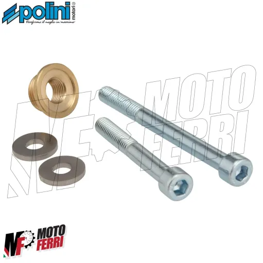 MF3910 Marmitta Polini per Piaggio Liberty 50 iGet da 2016 a 2024 Euro 3 4 5