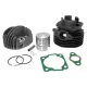 Kit Cilindro Dm 50 per Ape 50 TM P FL FL2 FL3 Europa RST Mix Modifica Motore 90