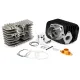 MF3513 - Kit Gruppo Cilindro Pinasco Evoten Big Bore 75cc Dm46 Sp12 per Ciao Si