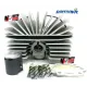 MF1481 Gruppo Termico Cilindro 75 CC Dm 48 Corsa 42 Parmakit Minarelli P4 P6