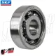 MF3944 Cuscinetto Ingranaggio Multiplo Cluster SKF per Vespa 50 125 PK S XL