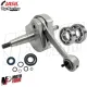 MF3945 Albero Motore Jasil Cono 19 Corsa 51 Cuscinetti Paraoli Vespa 50 a 130