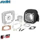 MF3947 Kit Cilindro Polini Ghisa 70 cc Dm 47 per Malaguti F12R 50 Aria dal 2007