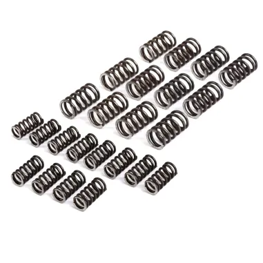 MF4021 - Kit 24 Molle Newfren per Frizione FC1192R Vespa 50 125 Special PK ET3