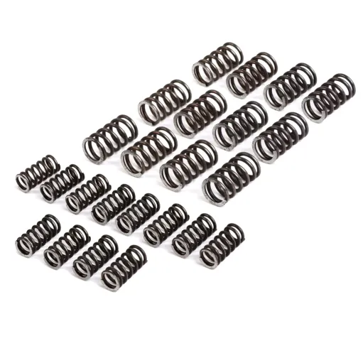 MF4021 - Kit 24 Molle Newfren per Frizione FC1192R Vespa 50 125 Special PK ET3