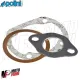 MF4077 Serie Guarnizioni per Cilindro Polini Evolution Dm 57 Vespa Ape 50 125