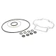 MF4079 Kit Guarnizioni Cilindro Polini Dm 47 - 47,4 Piaggio LC ZIP NRG Runner
