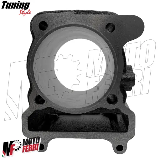 MF4143 Kit Modifica Cilindro a 300cc + 2L Olio 10W40 per Yamaha 250 Majesty XMax XCity