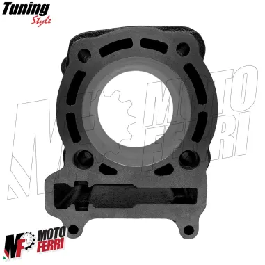 MF4143 Kit Modifica Cilindro a 300cc + 2L Olio 10W40 per Yamaha 250 Majesty XMax XCity