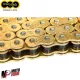 MF4194 Catena Trasmissione Passo 525 Regina HPE 120 Maglie oro No Manutenzione