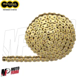 MF4195 Catena Trasmissione Moto Regina HPE Passo 520 Maglie 120 No Manutenzione 2