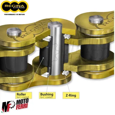 MF4195 Catena Trasmissione Moto Regina HPE Passo 520 Maglie 120 No Manutenzione