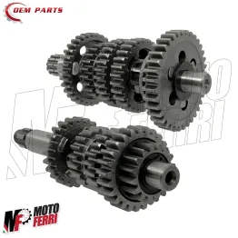 MF4227 Ingranaggi Cambio Marce per Minarelli AM345 AM6 Aprilia HM Yamaha MBK 2