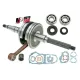 KIT ALBERO MOTORE CUSCINETTI PARAOLI GUARNIZIONI 50 CC 2T F12 F15 AEROX NITRO SR
