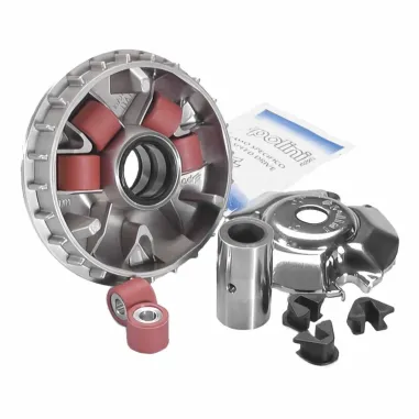 MF4244 - Variatore Polini Aprilia Scarabeo Leonardo mot Rotax / BMW C1 125 150