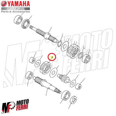 MF4249 Ingranaggio Primario Originale Yamaha Majesty XMax XCity Versity 250 300