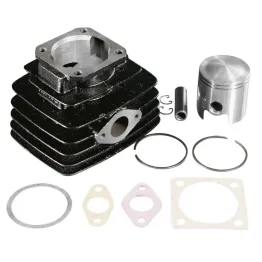 MF4256 Gruppo Termico Cilindro Polini 75 cc Dm 47 per Motore V1 Fantic Issimo