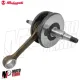 MF4321 Albero Motore Originale Malaguti Fifty Motore Franco Morini GS / GSA