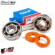 MF4336 Albero Motore Stage6 Pro Replica + Cuscinetti Paraoli Motori AM6 AM345