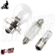 KIT LAMPADE LAMPADINE 6V PIAGGIO SI CIAO SC FL PX BRAVO GRILLO BOXER SUPERBRAVO