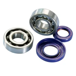 Kit Revisione Albero Motore Cono 20 Cuscinetti Paraoli Polini Vespa 125 ET3 Primavera
