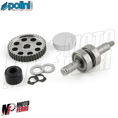 Kit Revisione Pompa Acqua Inox Polini Motore Piaggio Gilera DNA Runner SR 50 2T