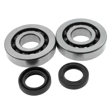 MF4609 Kit Cuscinetti + Paraoli Banco Revisione Motore Piaggio Gilera 50 2T