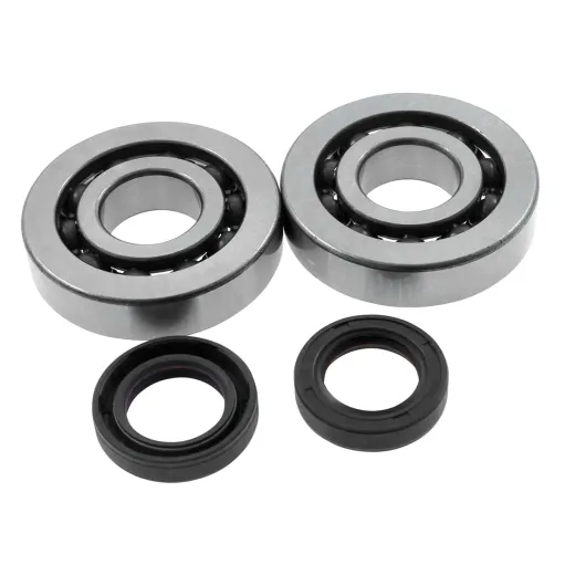 MF4609 Kit Cuscinetti + Paraoli Banco Revisione Motore Piaggio Gilera 50 2T