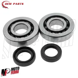 MF4609 Kit Cuscinetti + Paraoli Banco Revisione Motore Piaggio Gilera 50 2T 2