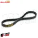 CINGHIA TRASMISSIONE MALOSSI SPECIAL BELT 50 PIAGGIO NRG MC2 NTT FREE F12R F10