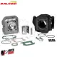 Kit Cilindro MALOSSI 70 cc Dm 47 MBK BOOSTER SPIRIT R BW´S in Ghisa spinotto 10