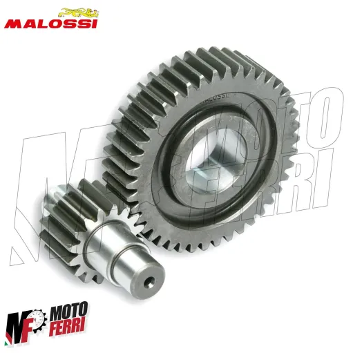 Ingranaggi Gear Malossi Secondari per Gilera Runner ST VX VXR 125 180 200 4T