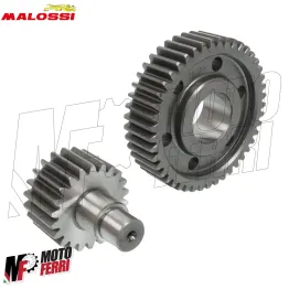 Ingranaggi Malossi 22/45 Secondari HTQ Vespa GTS 300 Super Sport HPE 2008 A 2024 2