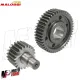 Ingranaggi Malossi 22/45 Secondari HTQ Vespa GTS 300 Super Sport HPE 2008 A 2024