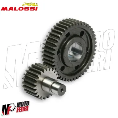 Ingranaggi Malossi 22/45 Secondari HTQ Vespa GTS 300 Super Sport HPE 2008 A 2024
