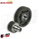 Ingranaggi Malossi 22/45 Secondari HTQ Vespa GTS 300 Super Sport HPE 2008 A 2024